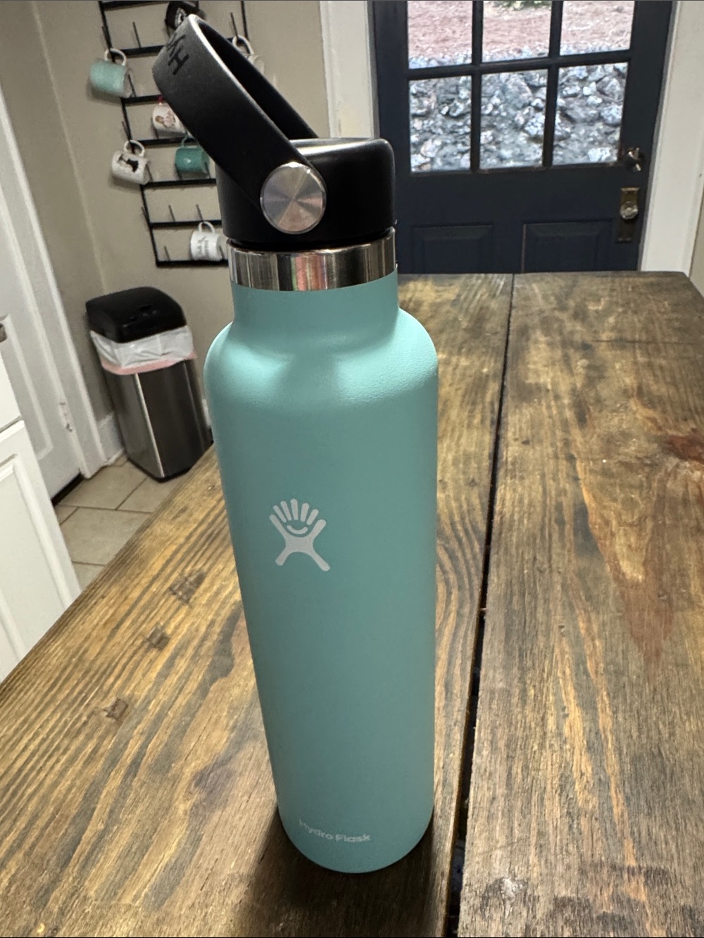 Hydro Flask Alpine (light blue) Standard Mouth Water Bottle with Flex Cap